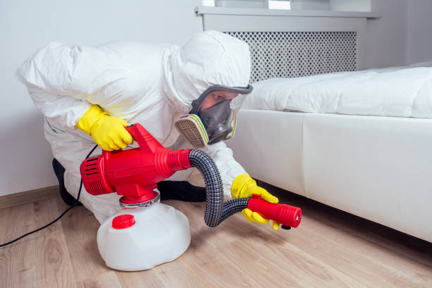 Real Estate Pest Inspections in Bethany, WV